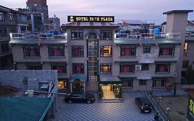 Hotel Park Plaza Srinagar